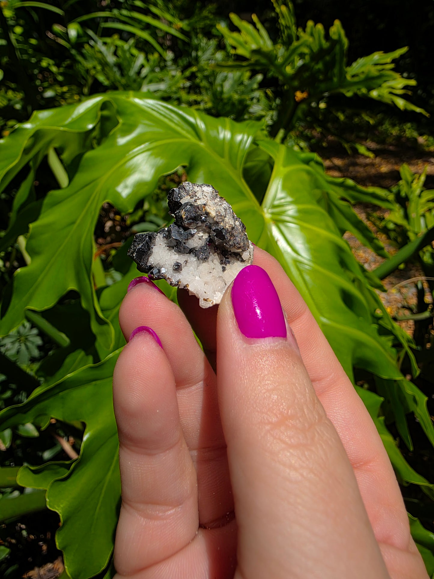 Galena and Marcasite [D]