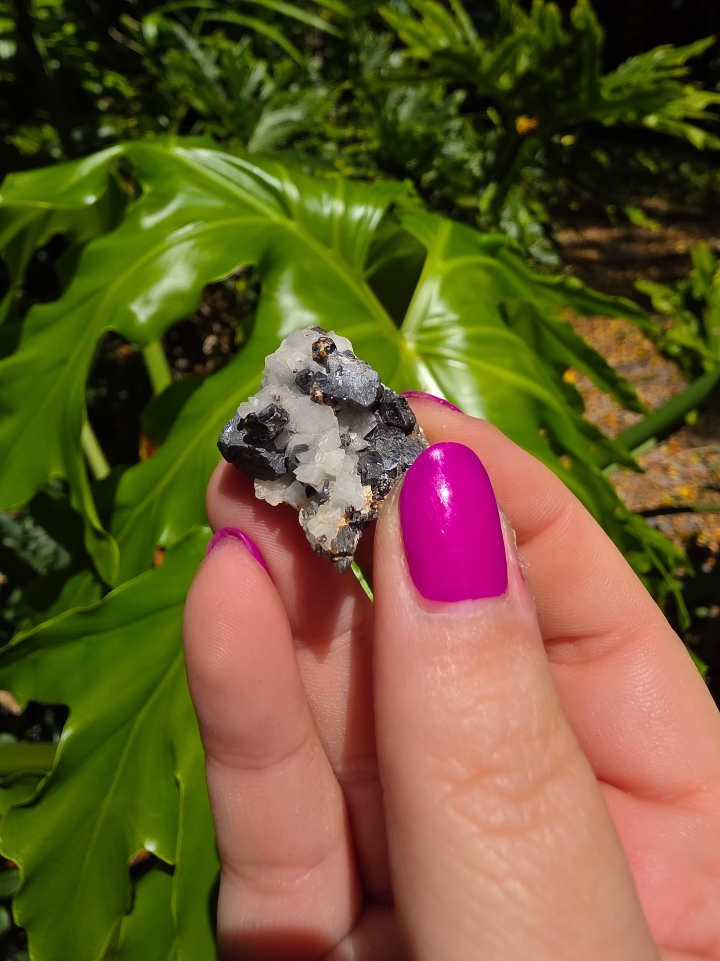 Galena and Marcasite [E]