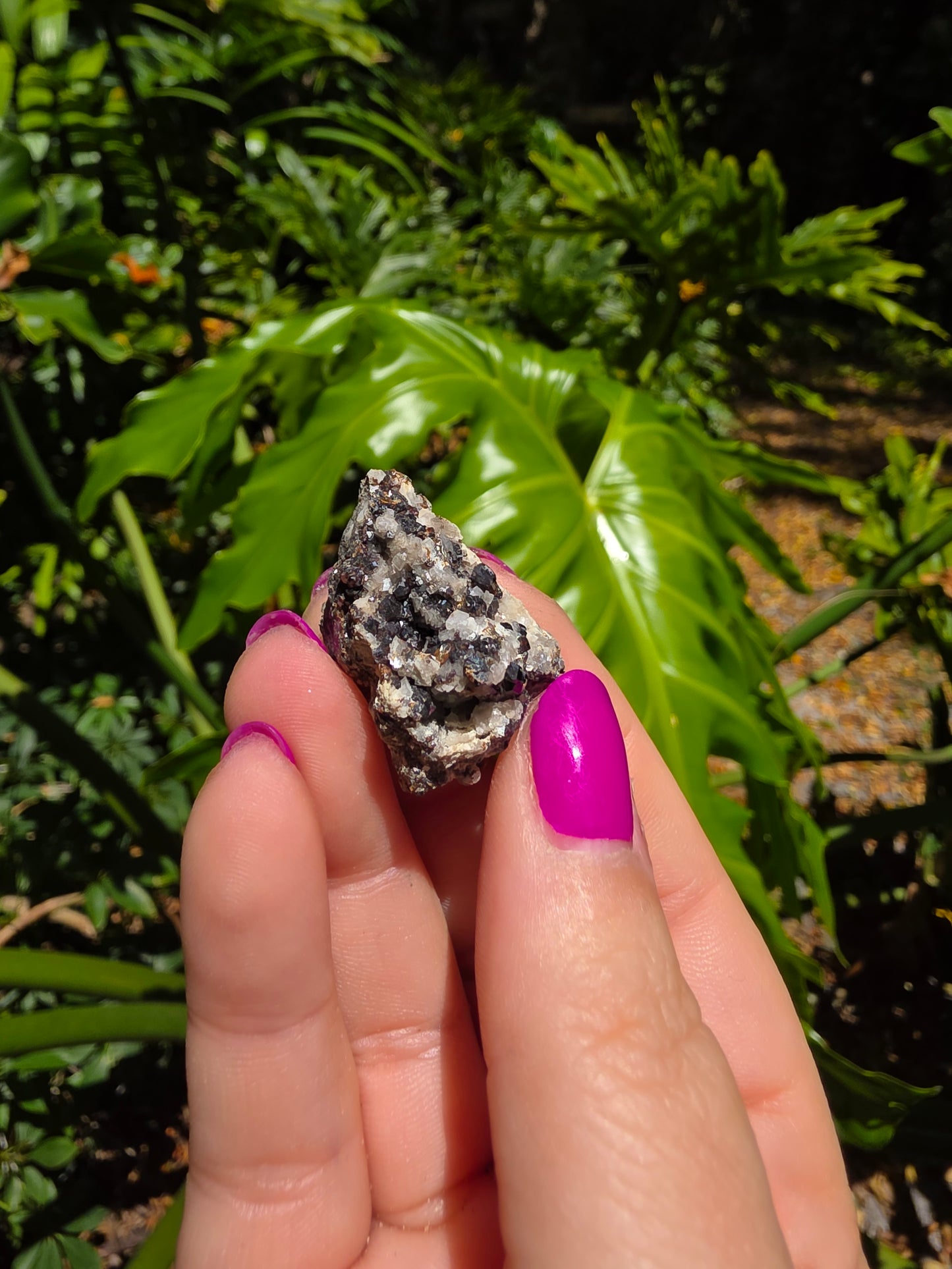 Galena and Marcasite [H]