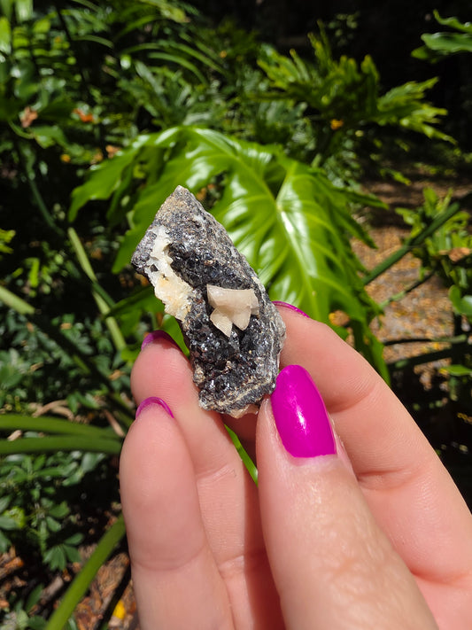 Galena and Marcasite [I]