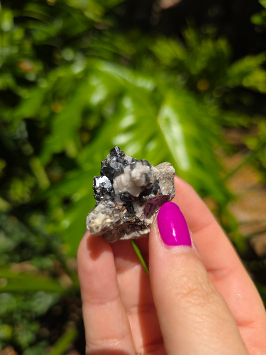 Galena and Marcasite [J]