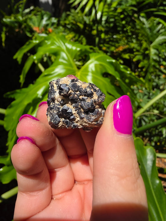 Galena and Marcasite [K]