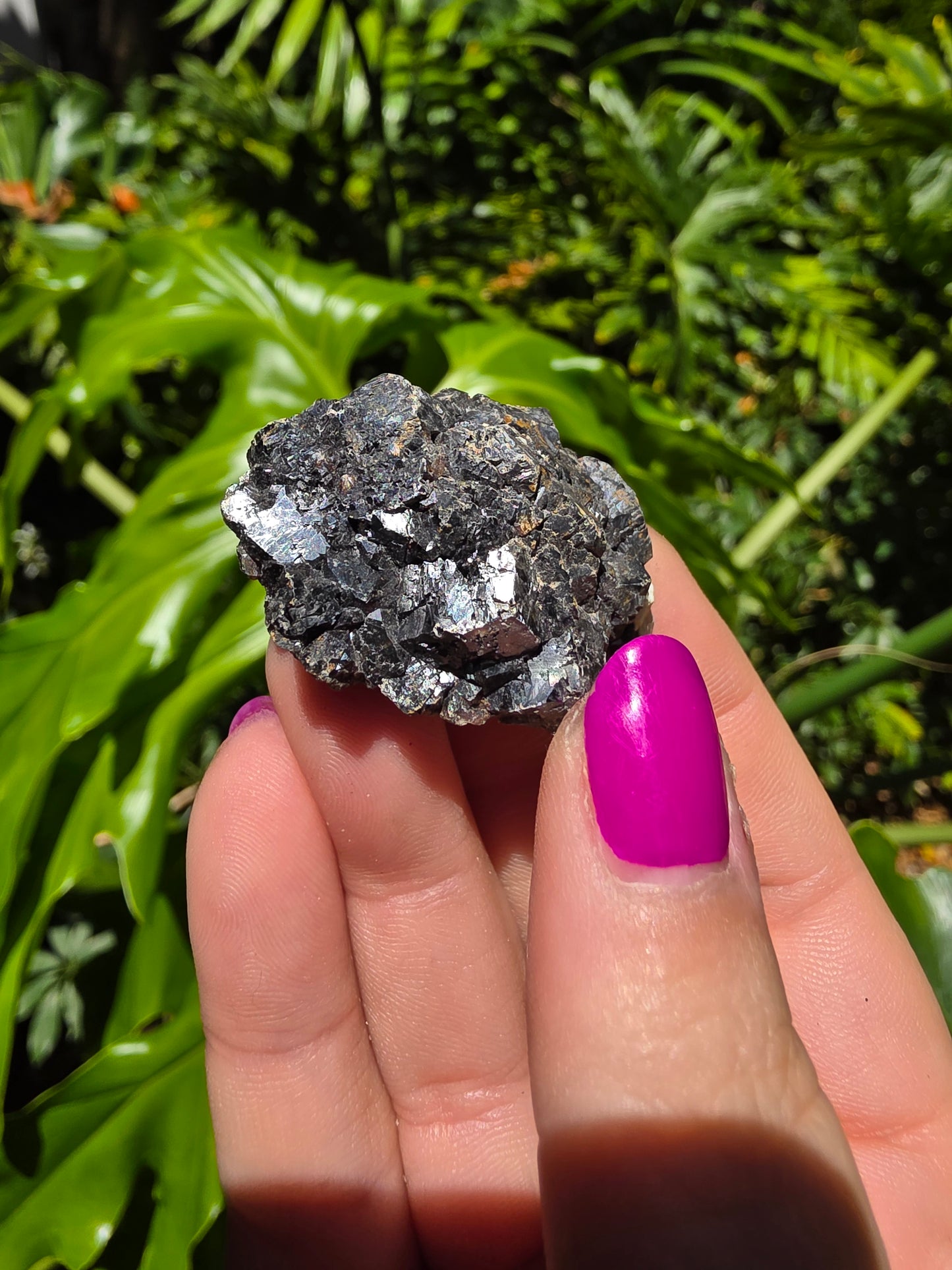 Galena and Marcasite [L]