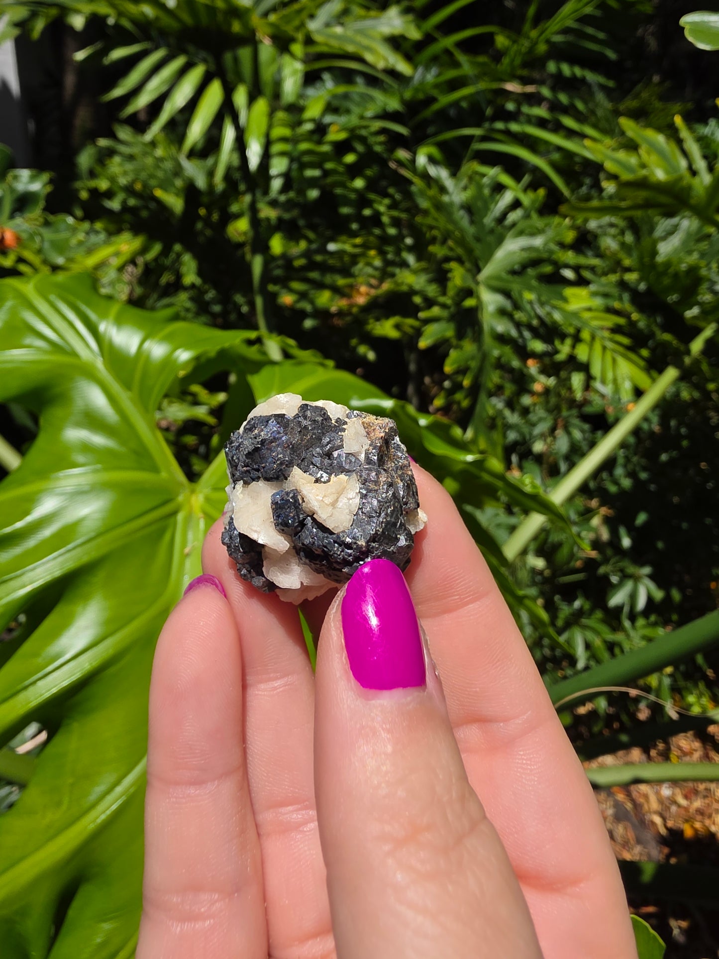 Galena and Marcasite [M]