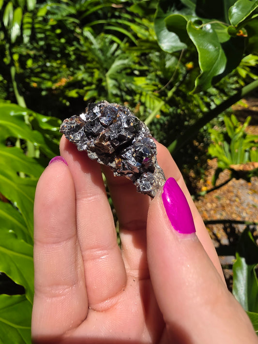 Galena and Marcasite [N]