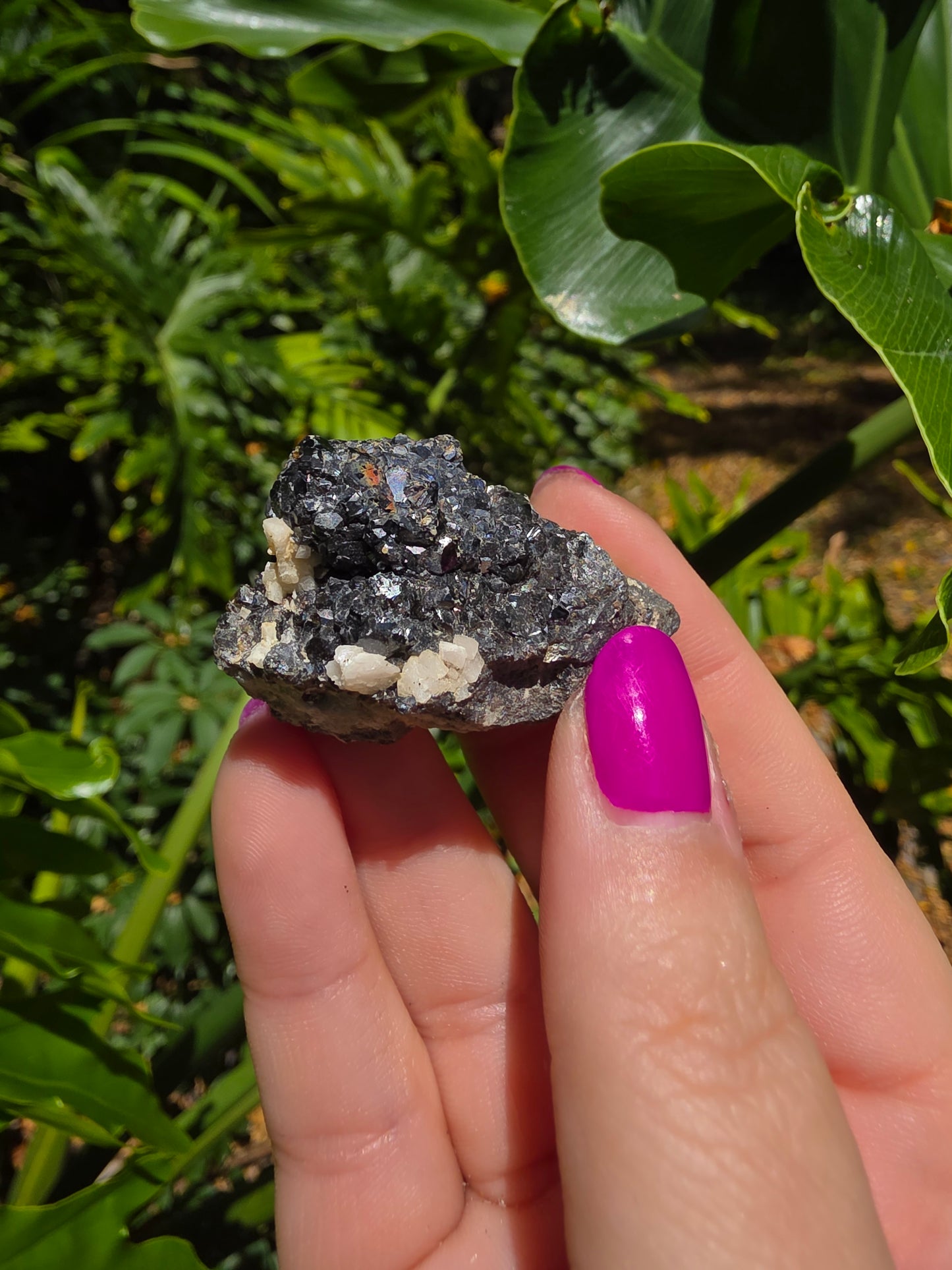 Galena and Marcasite [P]