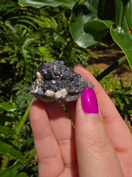 Galena and Marcasite [P]