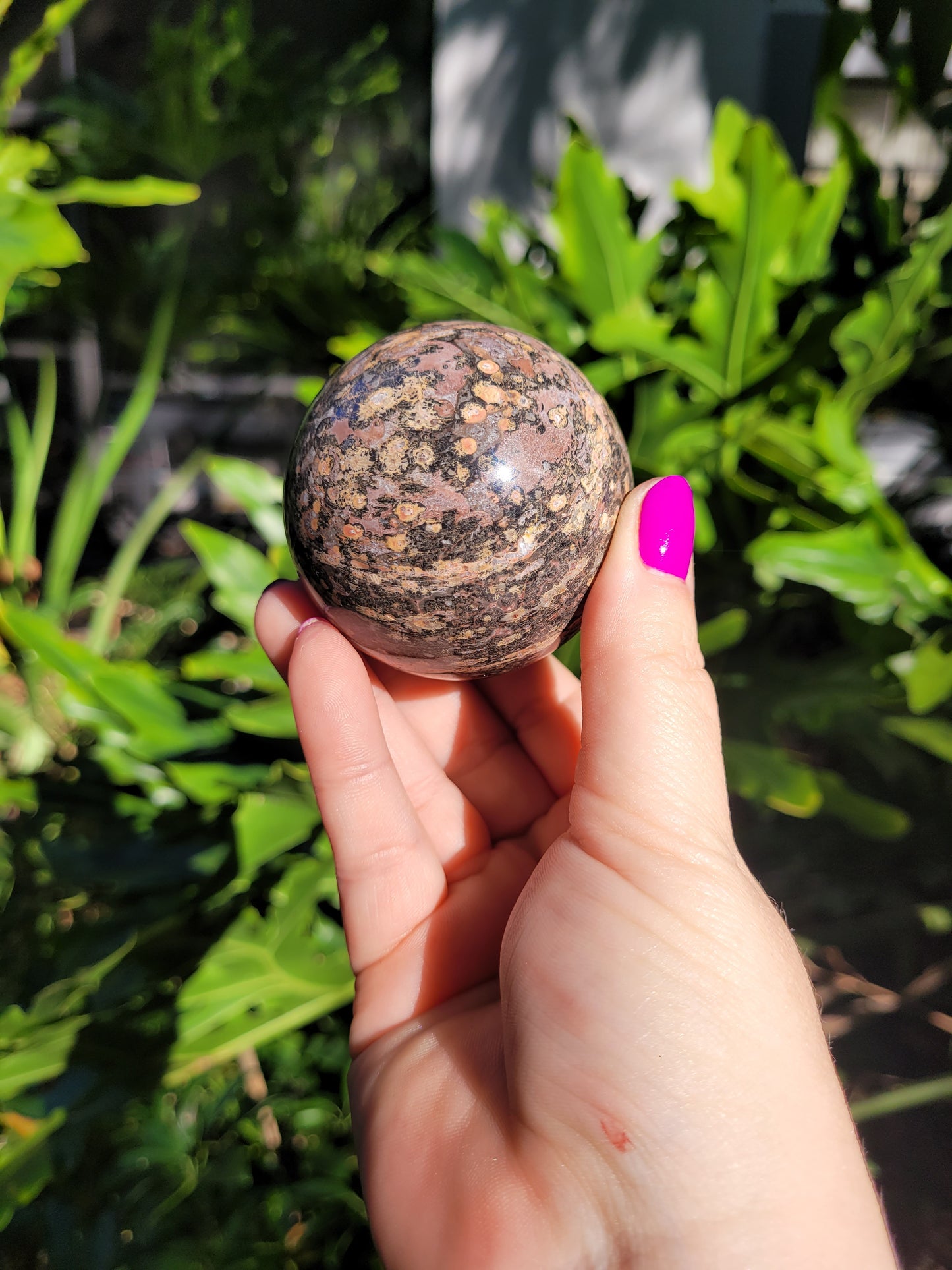 Jasper Conglomerate Sphere [Argentina][B]