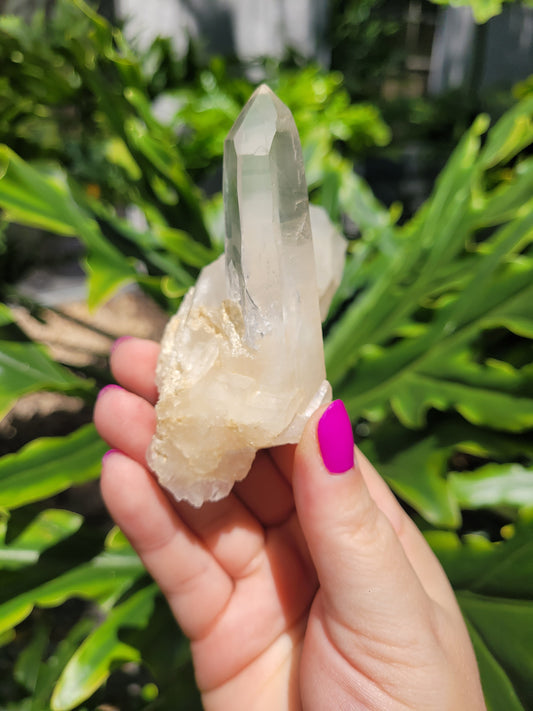 Lemurian Quartz Crystal [B]