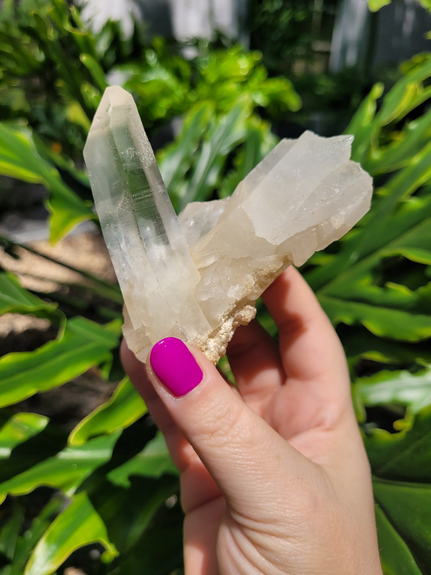 Lemurian Quartz Crystal [B]