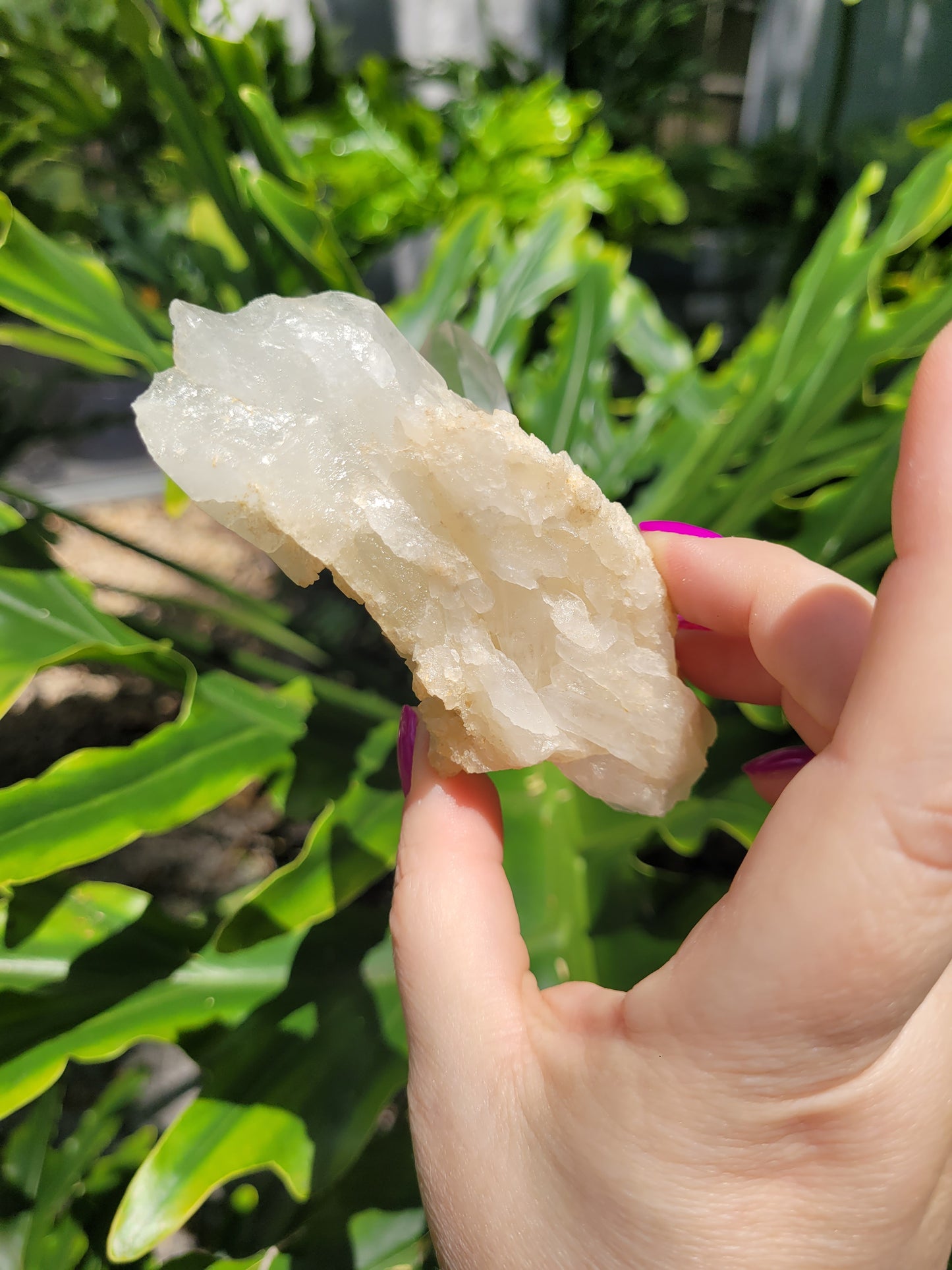 Lemurian Quartz Crystal [B]