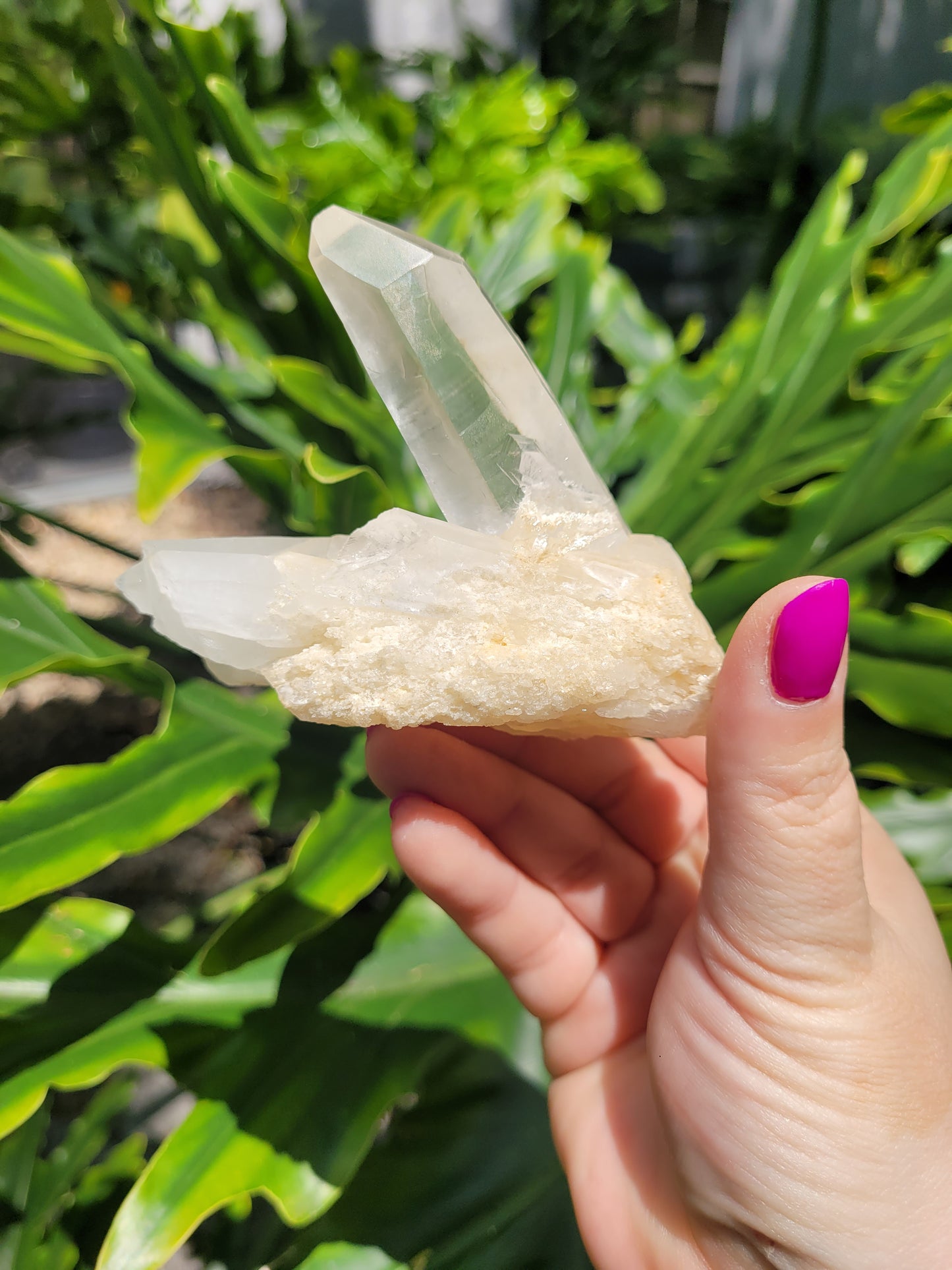 Lemurian Quartz Crystal [B]