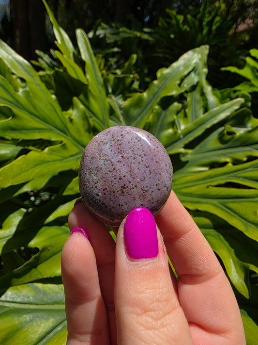 Ocean Jasper Palm Stone [A]