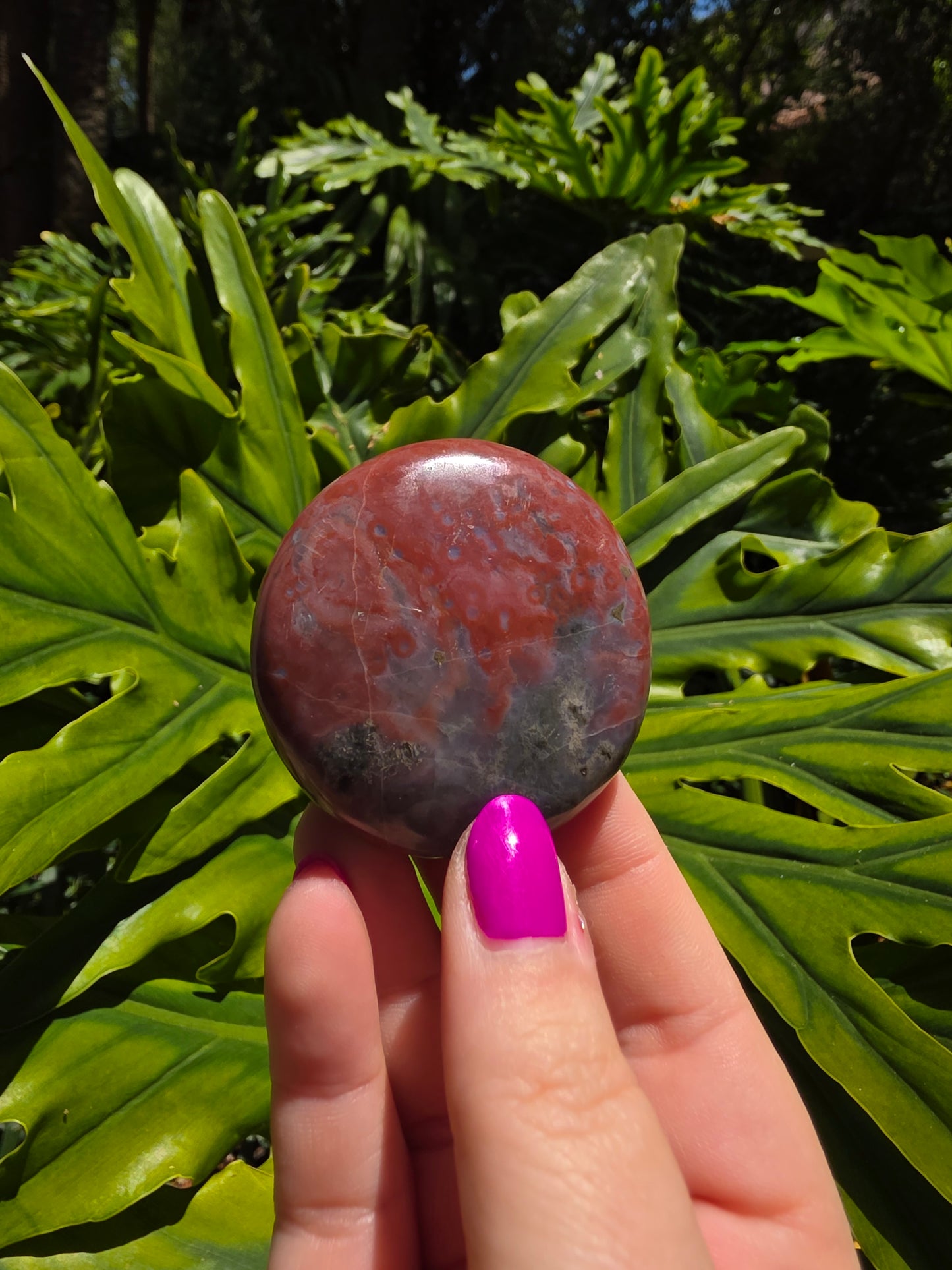 Ocean Jasper Palm Stone [AA]