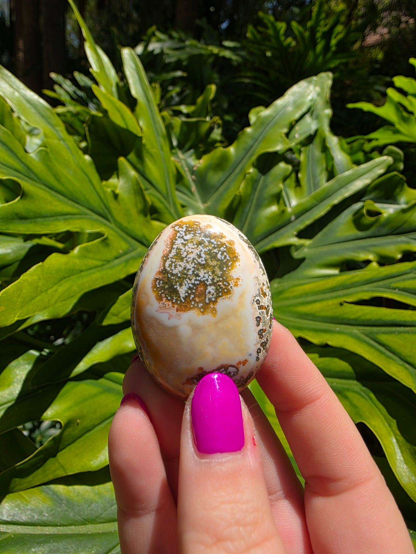 Ocean Jasper Palm Stone [B]