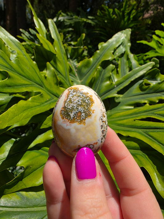Ocean Jasper Palm Stone [B]
