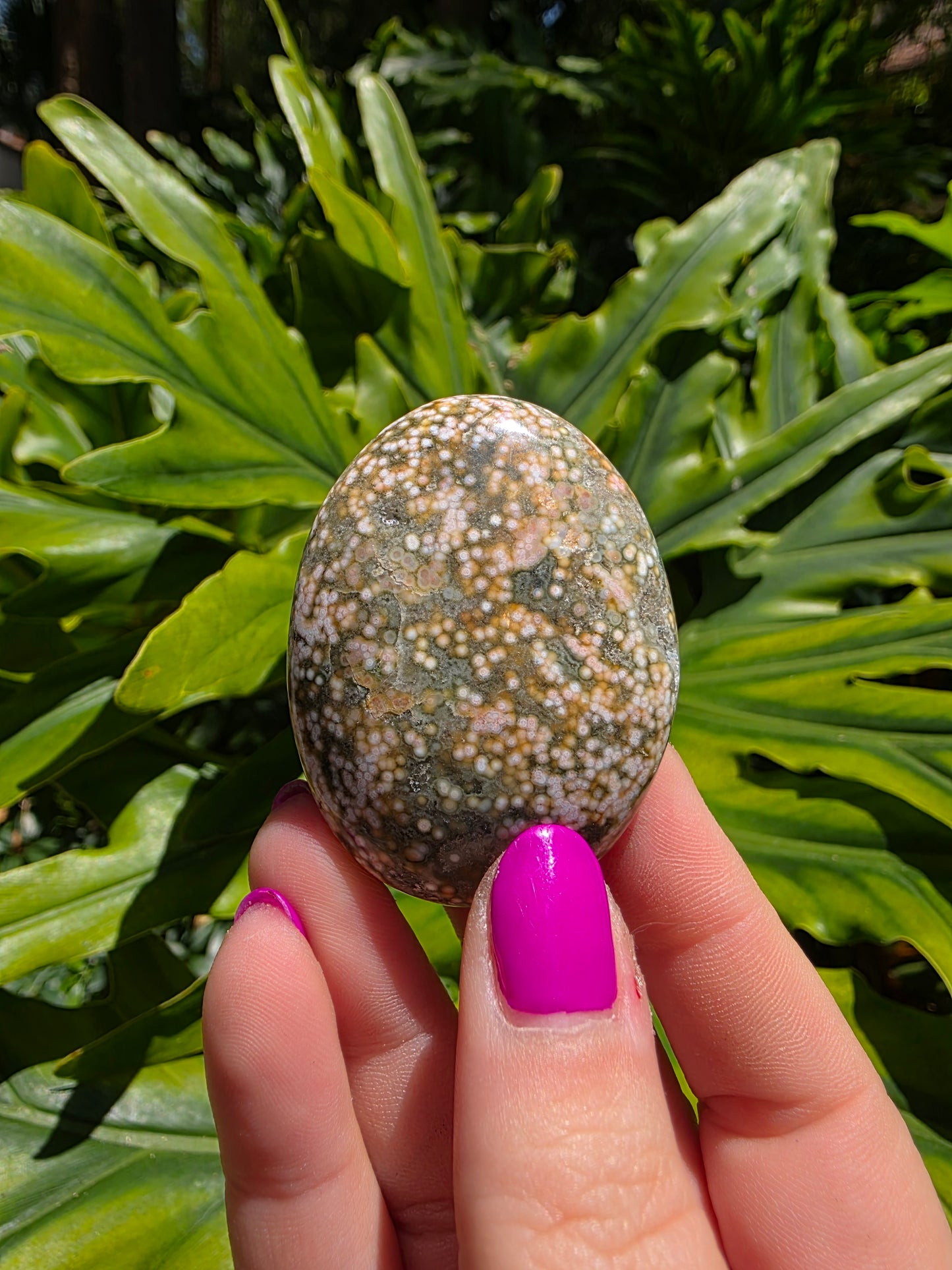 Ocean Jasper Palm Stone [C]