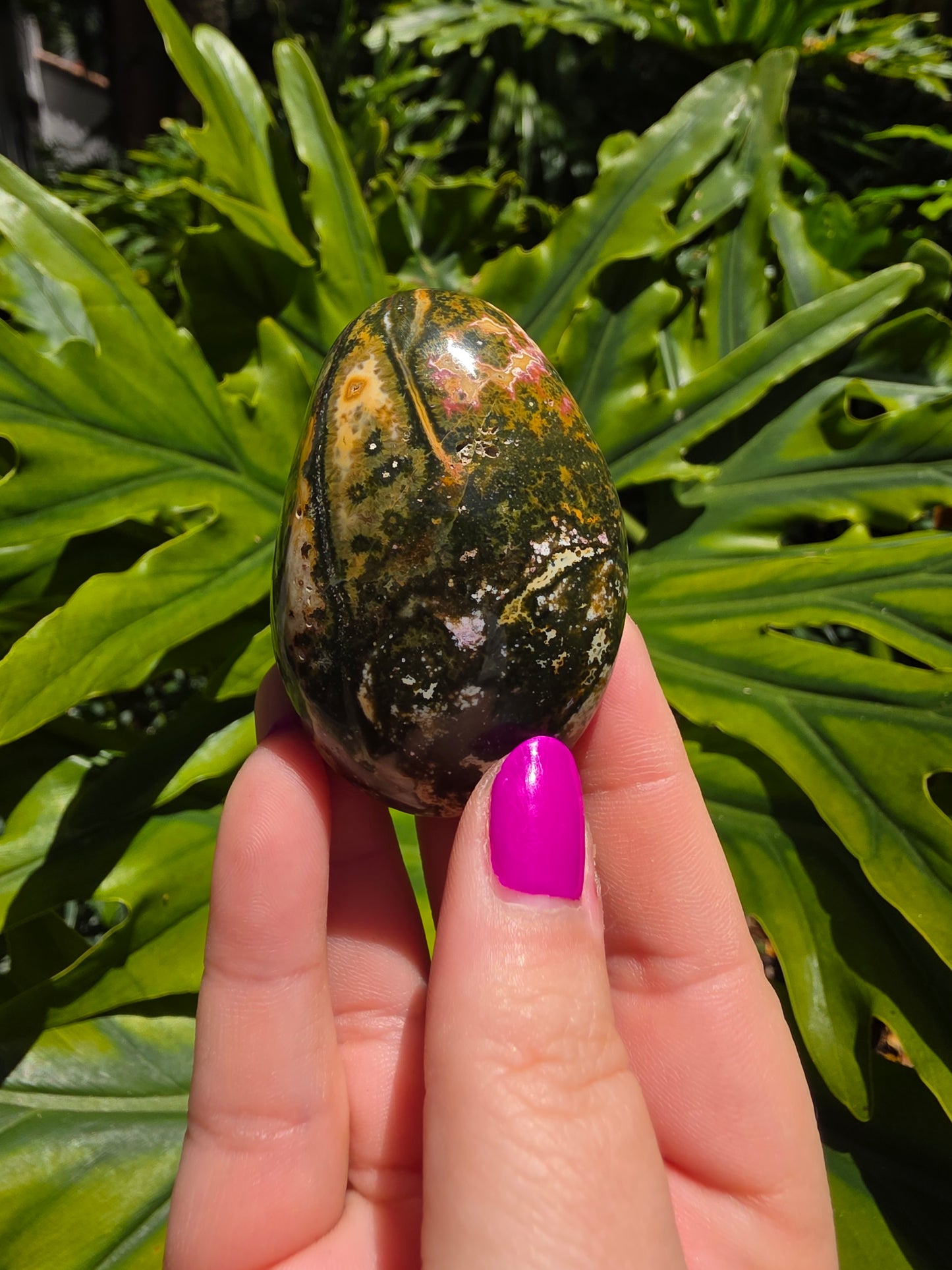 Ocean Jasper Palm Stone [DD]