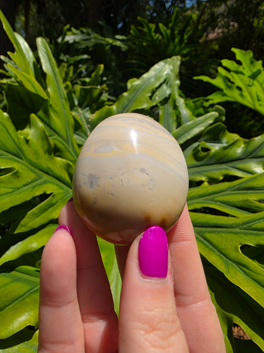 Ocean Jasper Palm Stone [E]