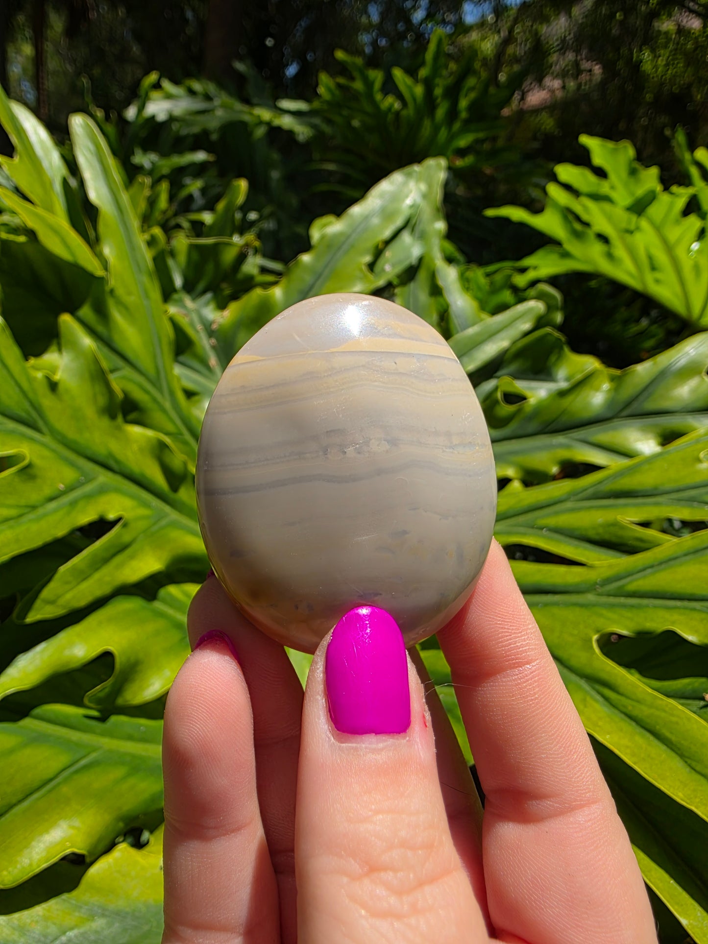 Ocean Jasper Palm Stone [E]