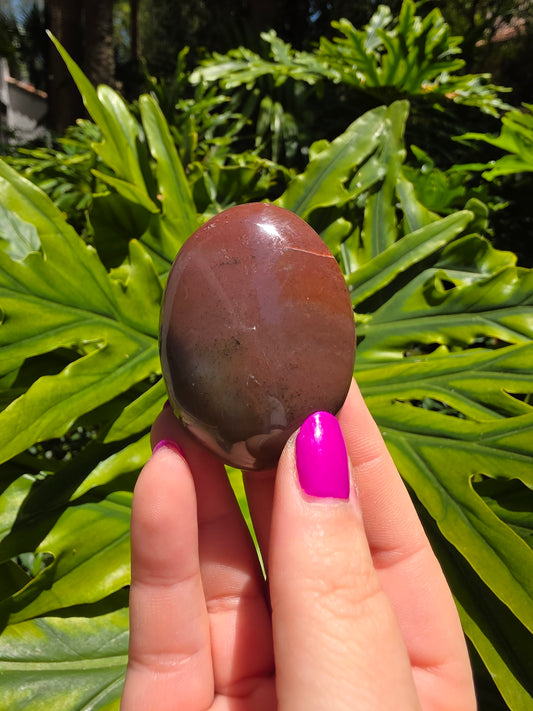 Ocean Jasper Palm Stone [EE]