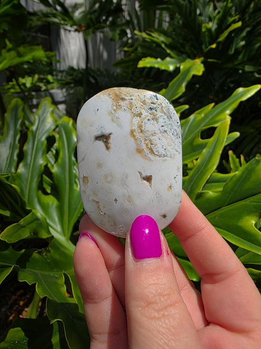Ocean Jasper Palm Stone | Earthy Tones [A]