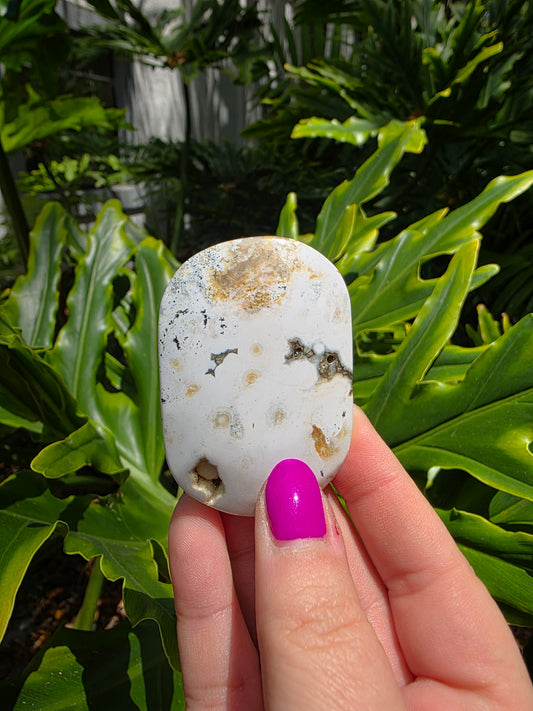 Ocean Jasper Palm Stone • Earthy Tones • Option A