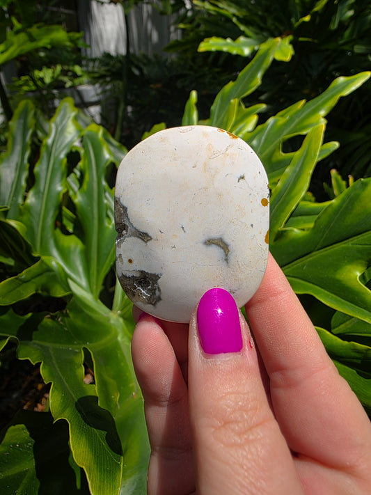 Ocean Jasper Palm Stone | Earthy Tones [B]