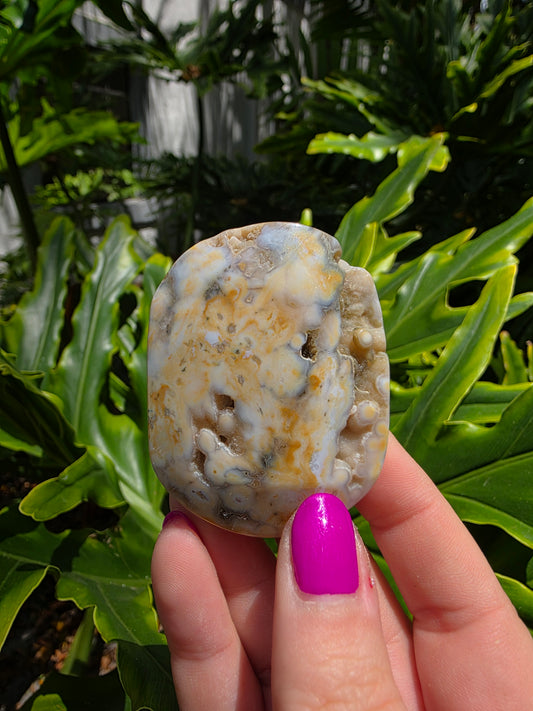 Ocean Jasper Palm Stone | Earthy Tones [C]