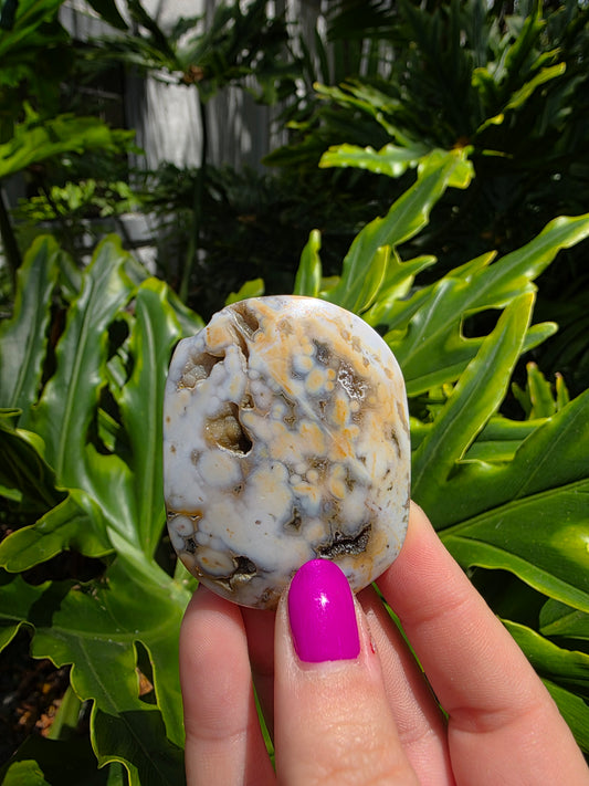 Ocean Jasper Palm Stone • Earthy Tones • Option C