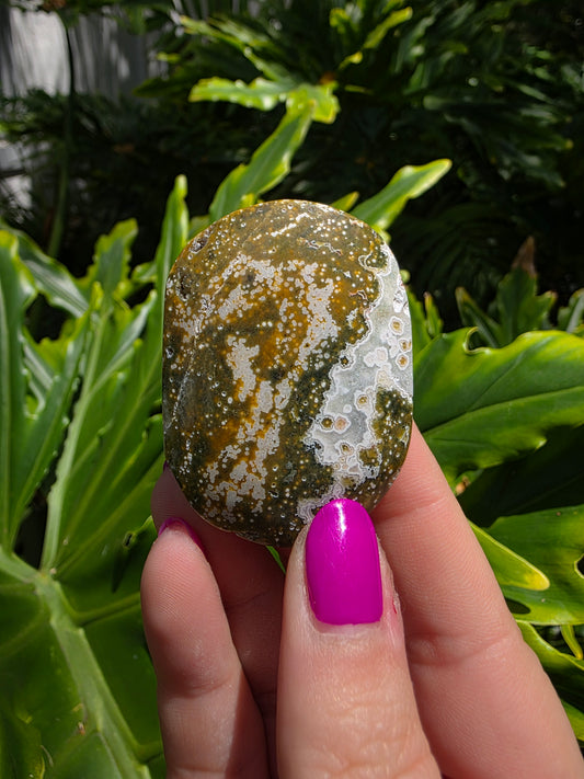 Ocean Jasper Palm Stone | Earthy Tones [D]