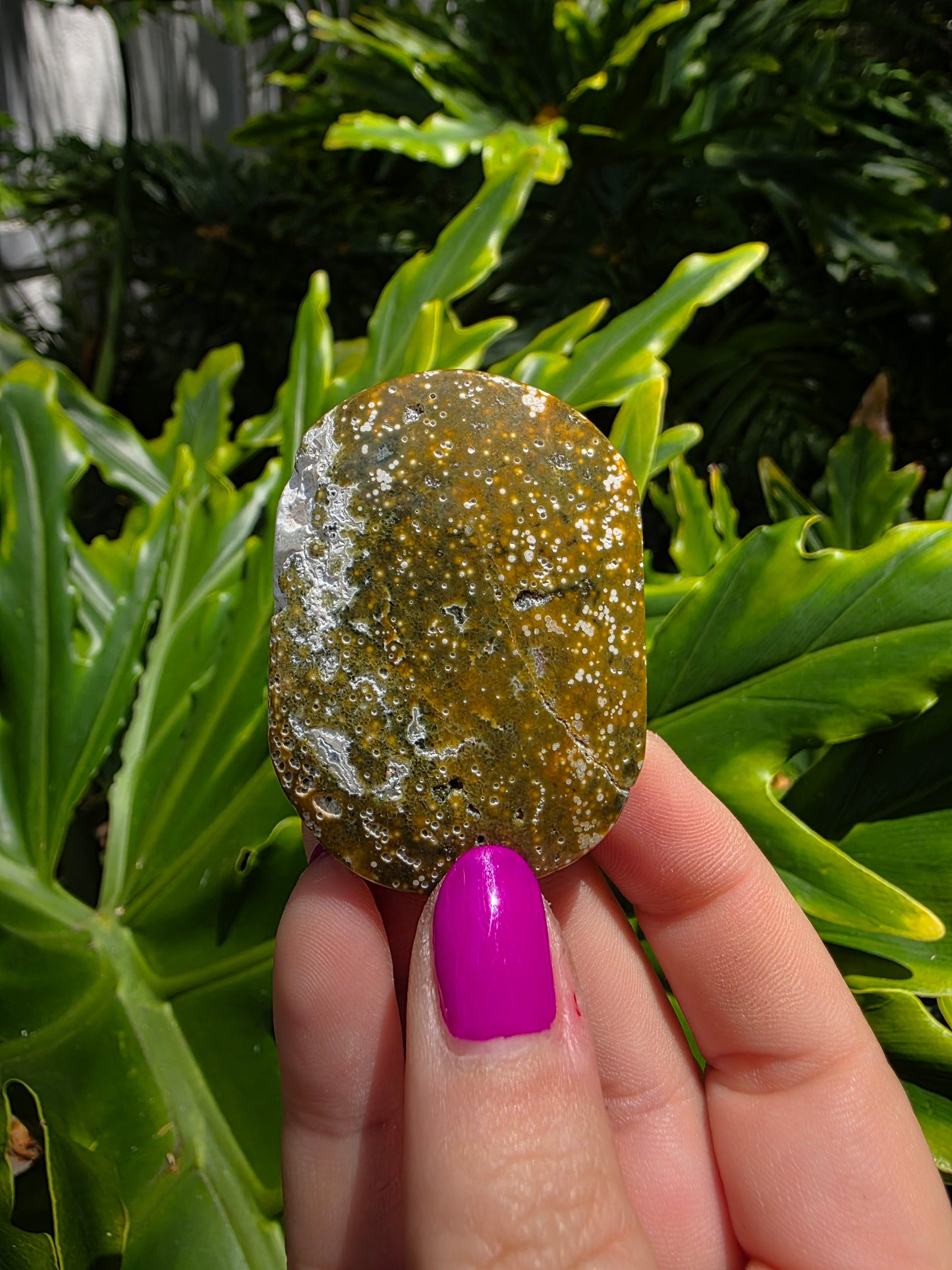 Ocean Jasper Palm Stone | Earthy Tones [D]