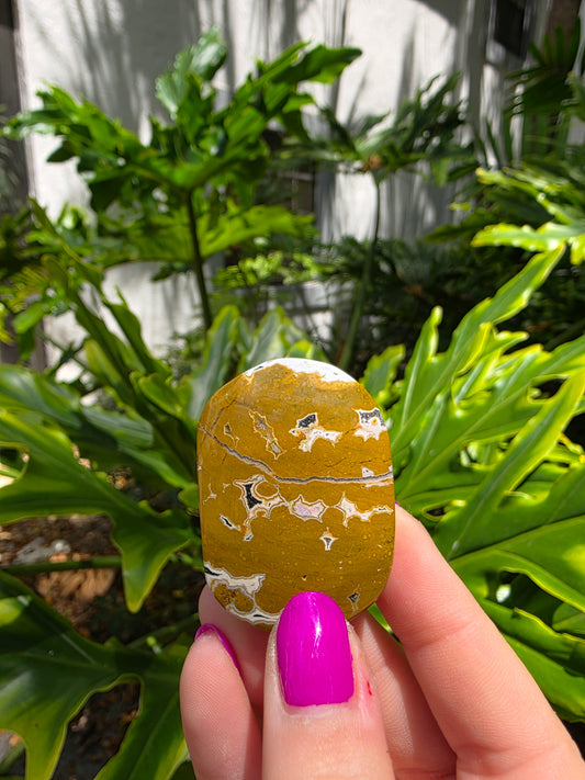 Ocean Jasper Palm Stone | Earthy Tones [E]