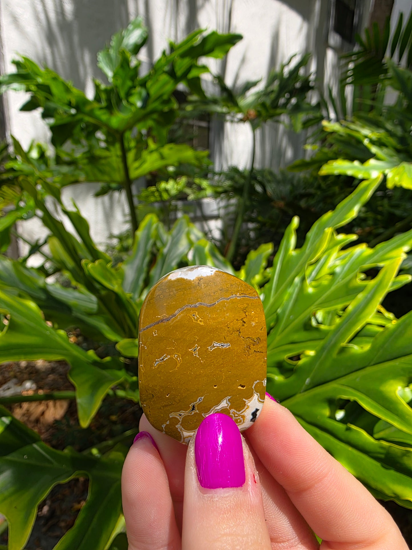 Ocean Jasper Palm Stone | Earthy Tones [E]