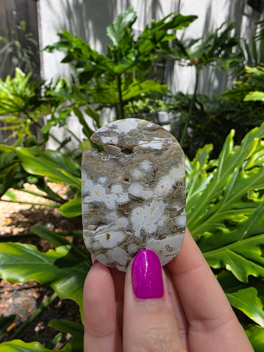 Ocean Jasper Palm Stone • Earthy Tones • Option F