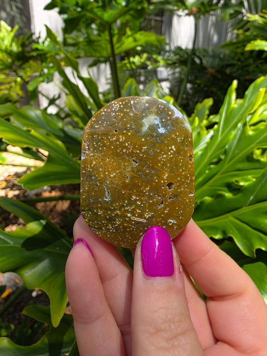 Ocean Jasper Palm Stone • Earthy Tones • Option G