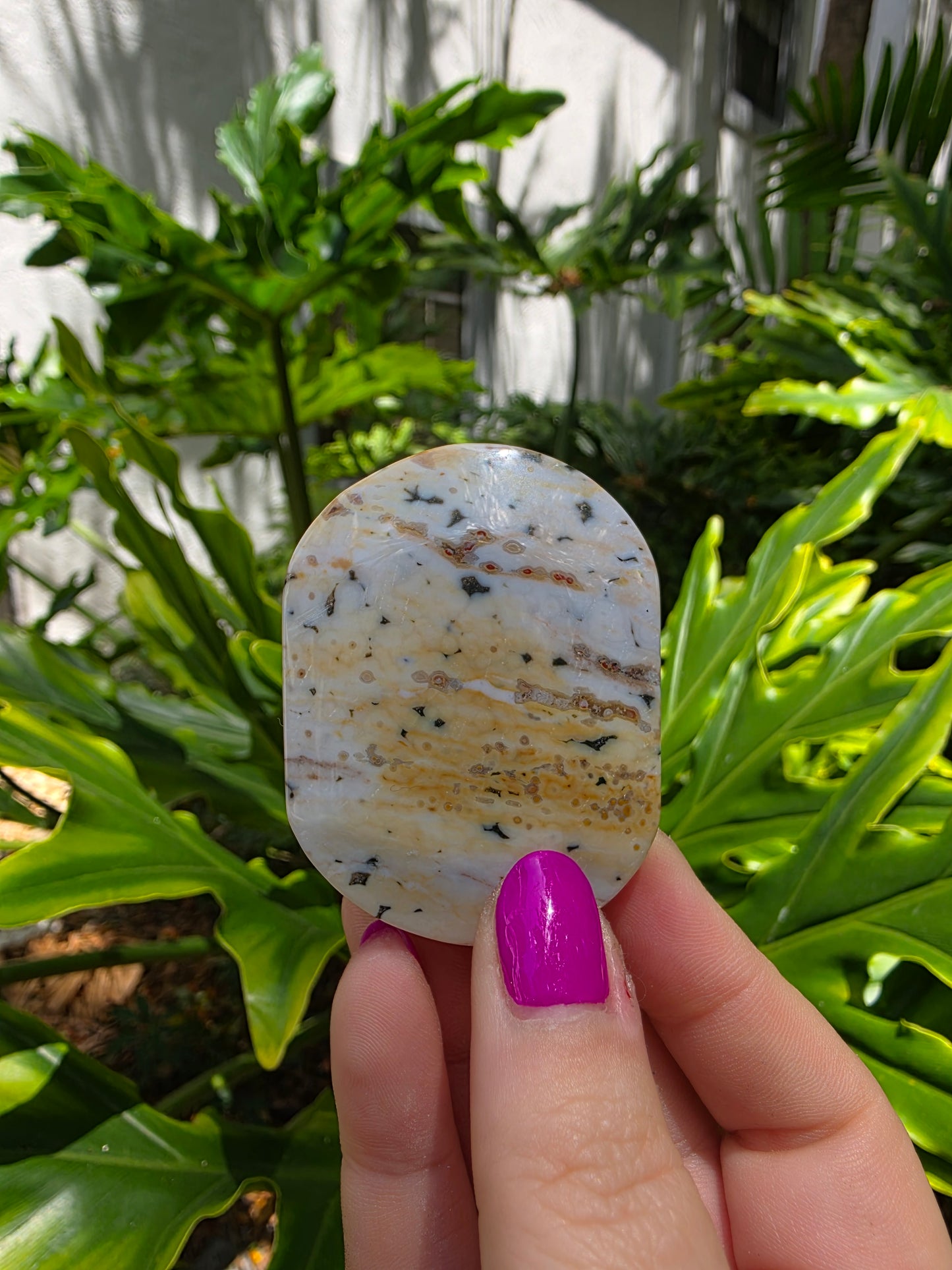 Ocean Jasper Palm Stone | Earthy Tones [H]