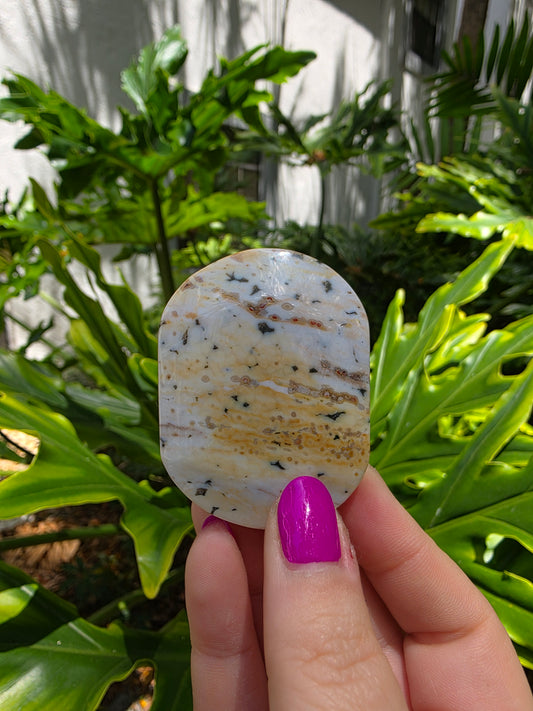 Ocean Jasper Palm Stone | Earthy Tones [H]