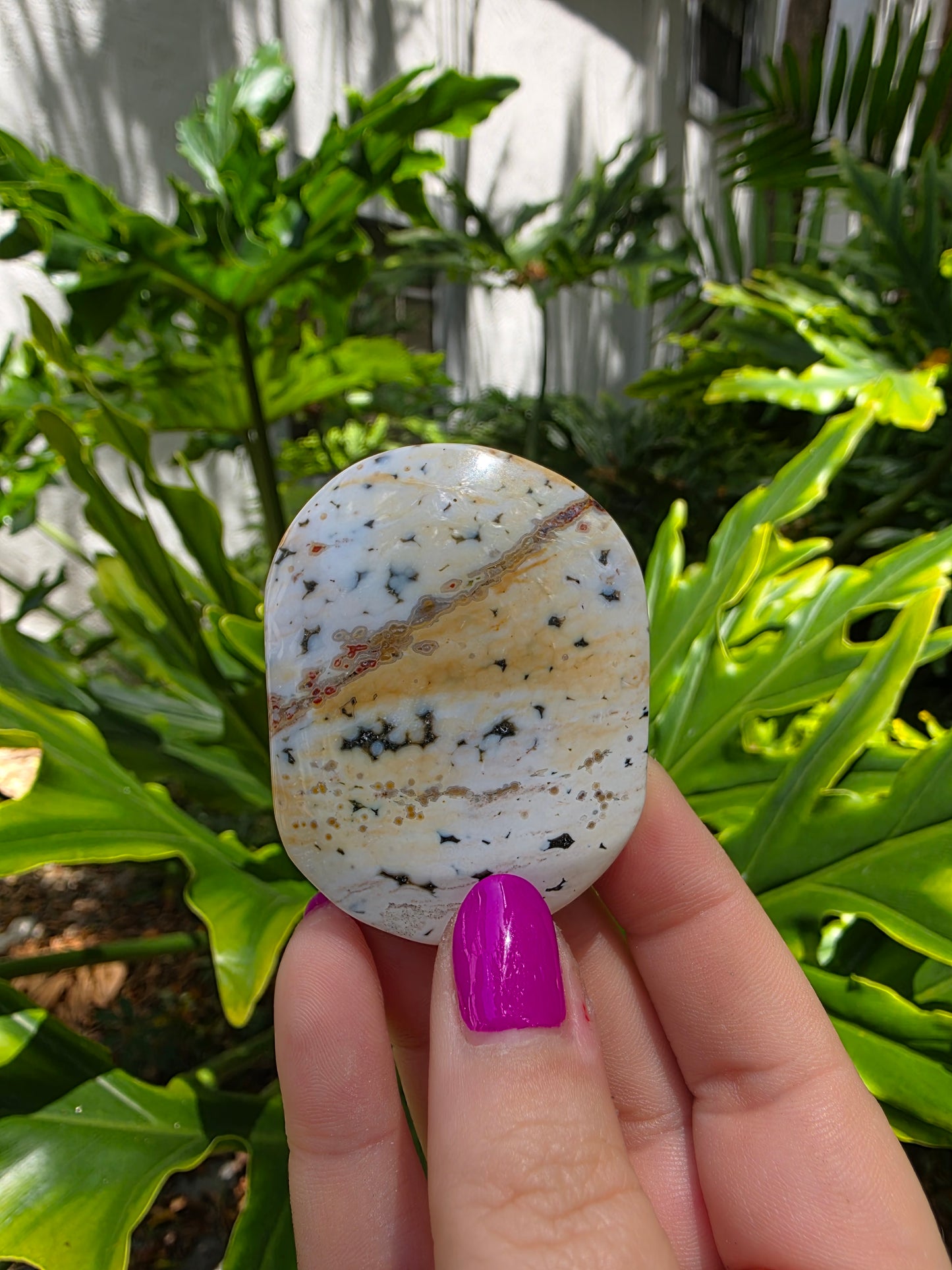 Ocean Jasper Palm Stone | Earthy Tones [H]