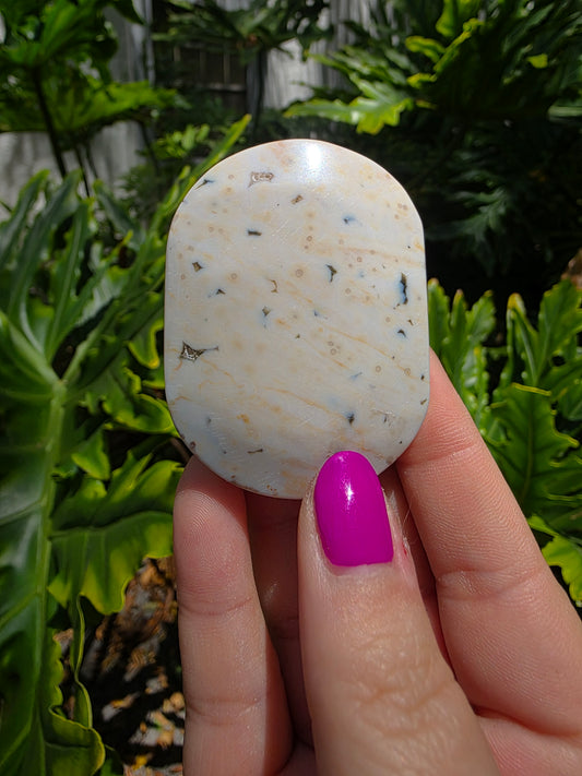 Ocean Jasper Palm Stone | Earthy Tones [I]