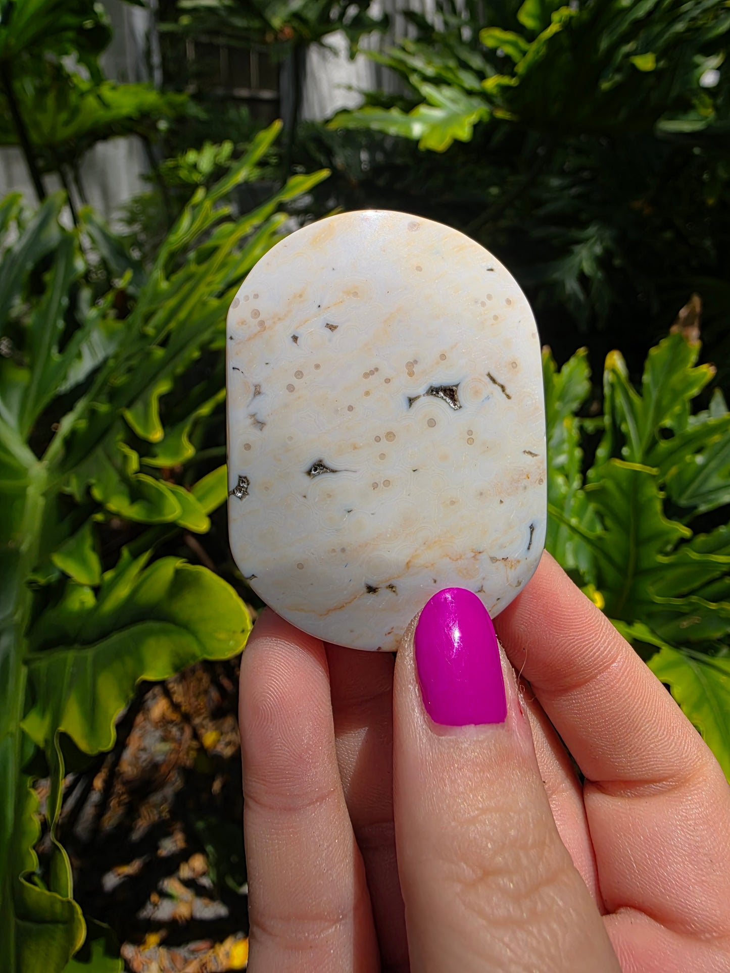 Ocean Jasper Palm Stone | Earthy Tones [I]