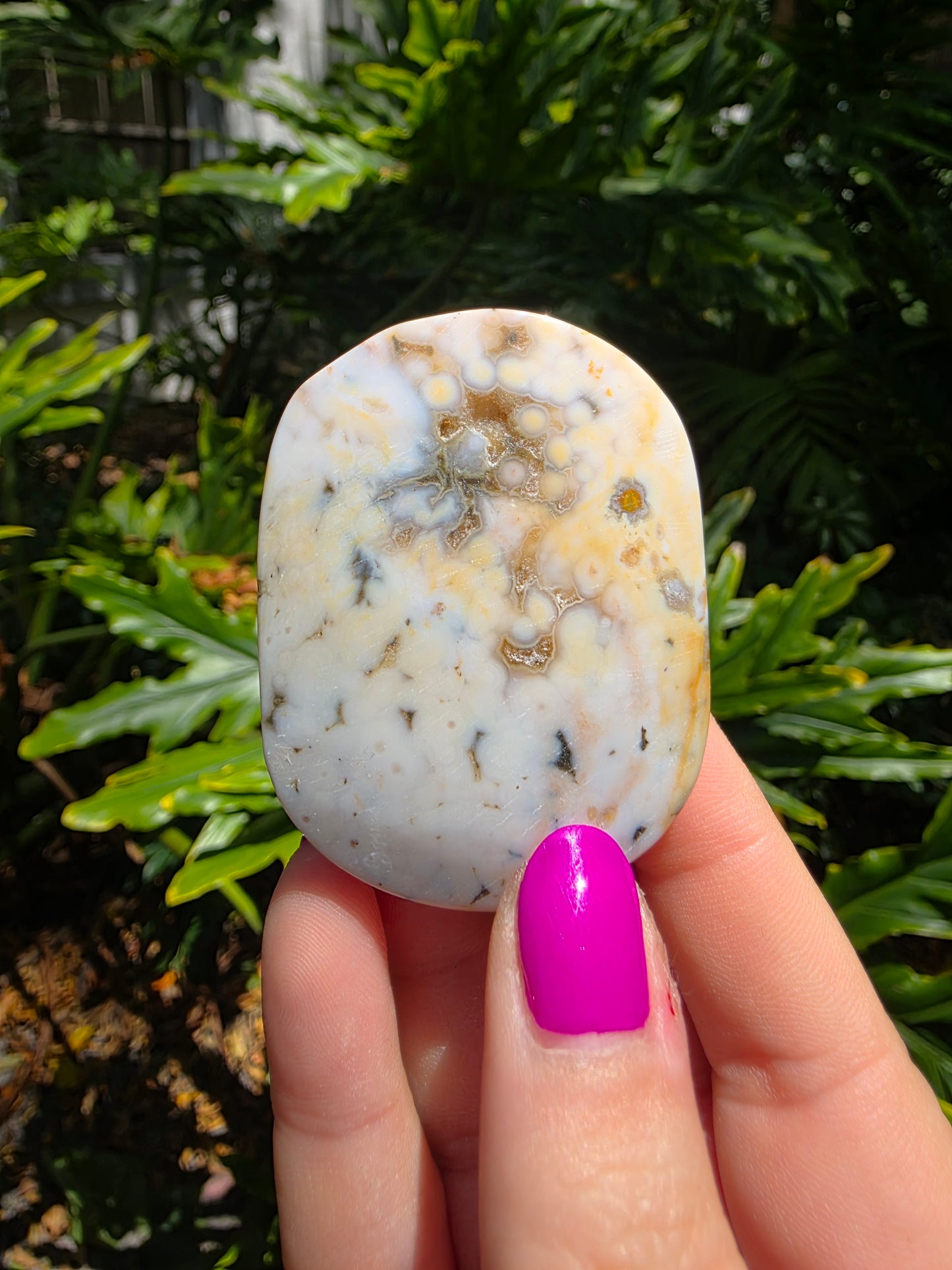Ocean Jasper Palm Stone | Earthy Tones [J]