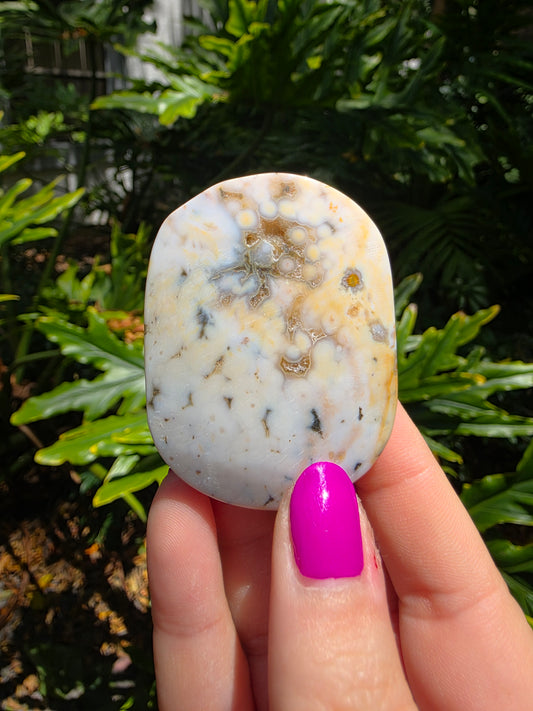 Ocean Jasper Palm Stone | Earthy Tones [J]