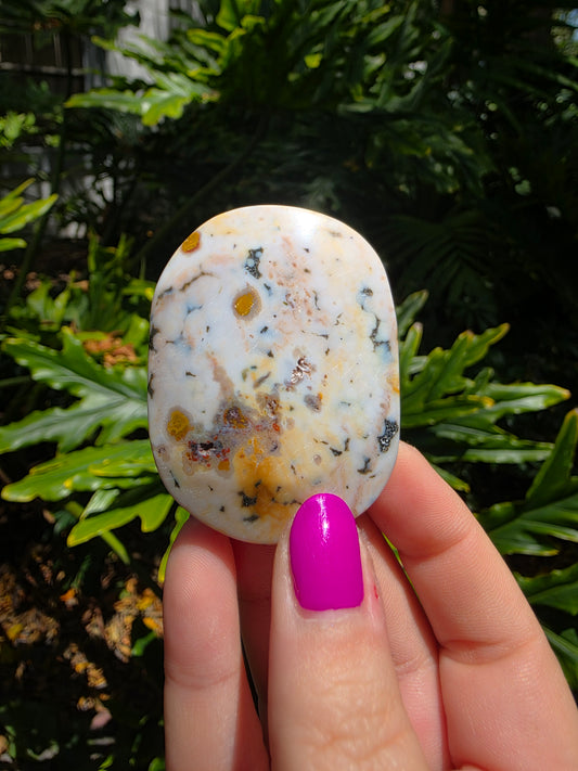 Ocean Jasper Palm Stone • Earthy Tones • Option J