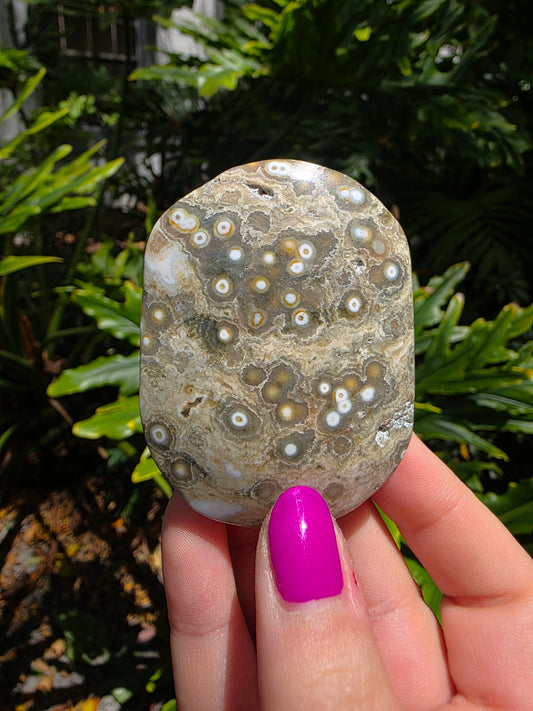 Ocean Jasper Palm Stone | Earthy Tones [L]