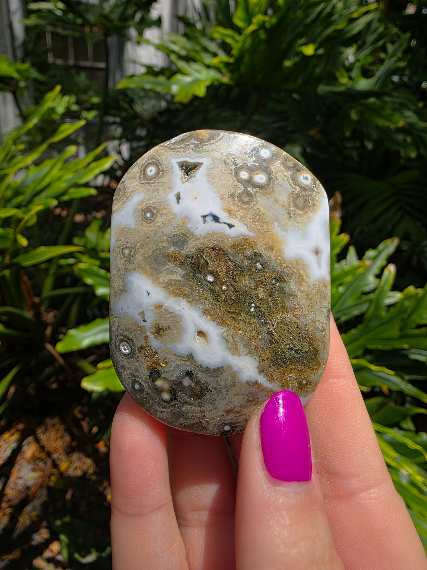 Ocean Jasper Palm Stone | Earthy Tones [L]