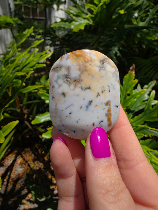 Ocean Jasper Palm Stone | Earthy Tones [M]
