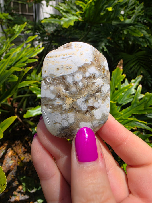 Ocean Jasper Palm Stone | Earthy Tones [N]