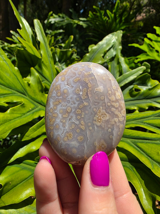 Ocean Jasper Palm Stone [F]