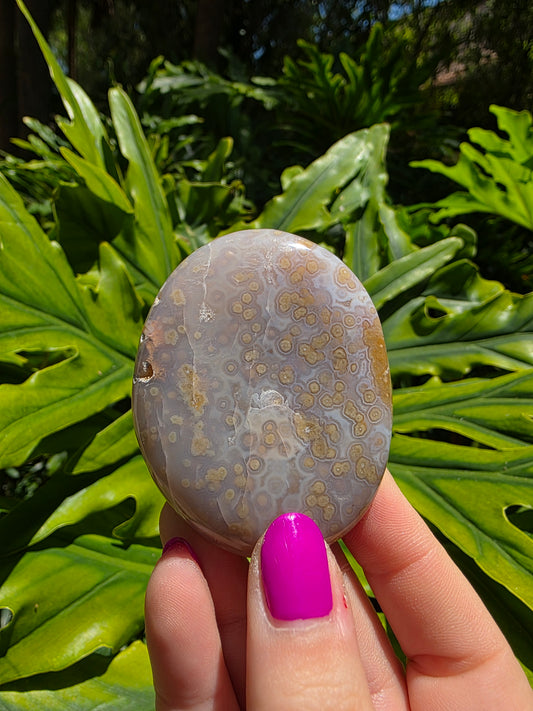 Ocean Jasper Palm Stone • Option F